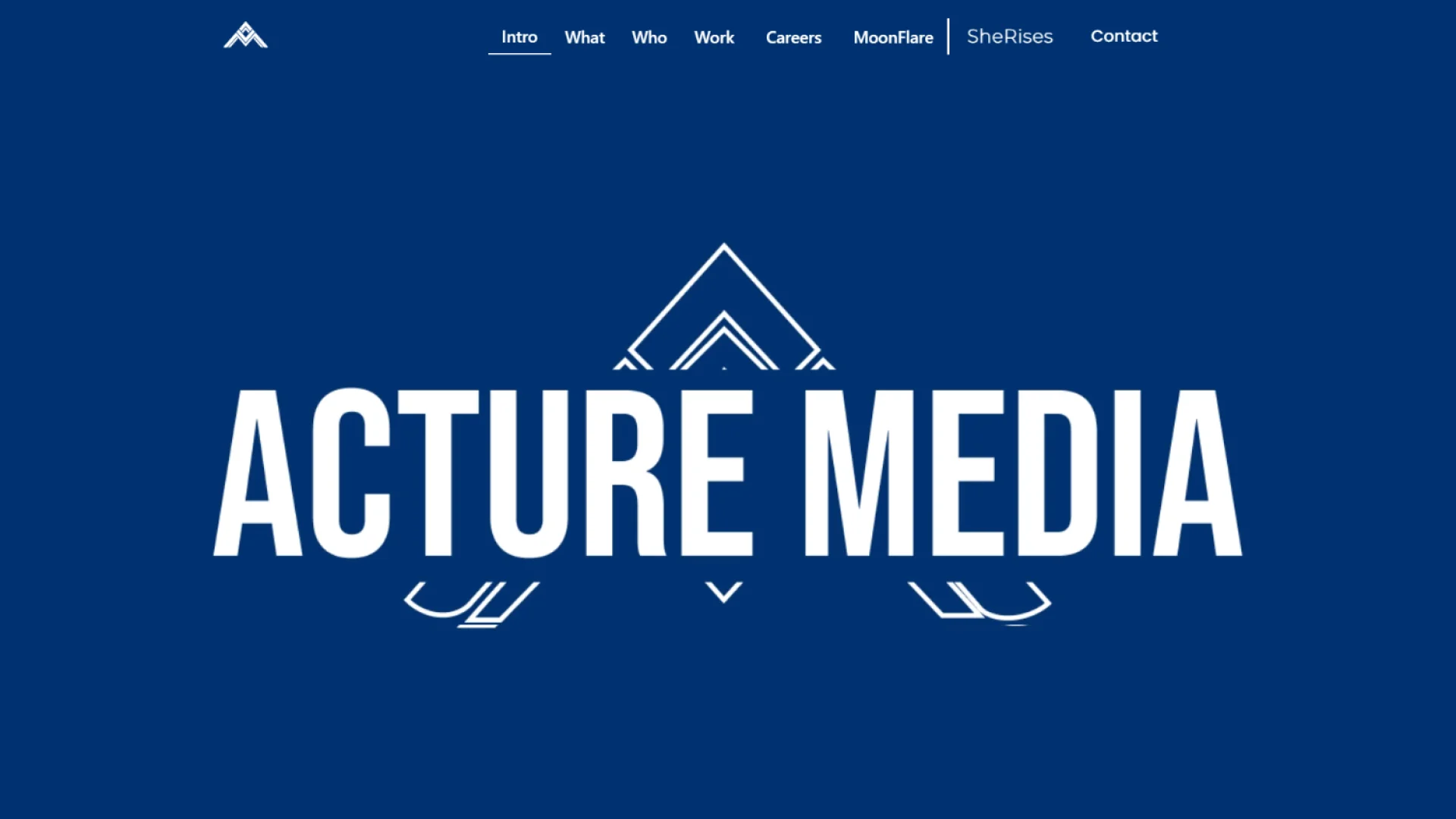 Media Agency Website